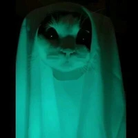 anak pak agus