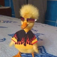 BLUD