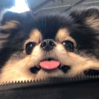 แอดเอง