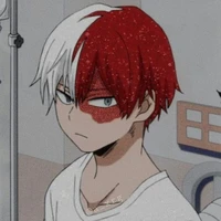 shoto todoroki