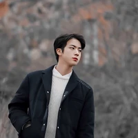 Jin{ 👑 🐹}