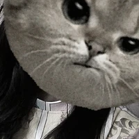 แอด