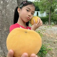 เมก้า