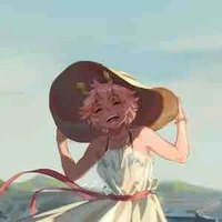 🌸Mina ashido/OP🌸