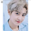 chanyeol(sekretaris 2 perusahaan lisa)