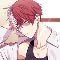 shoto Todoroki (A/D