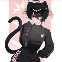 Miss gatitos