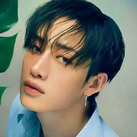Bang Chan ( 28 ans, bras droit, Alpha)