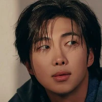Kim Namjoon ( Duc, 28 ans, Alpha )