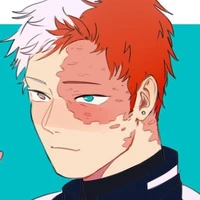 Shoto Todoroki 