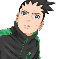 Nara shikadai