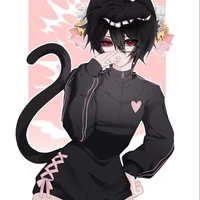 Miss gatitos