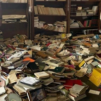 one more feather in fire ~