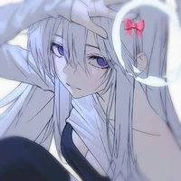 Y/N shira