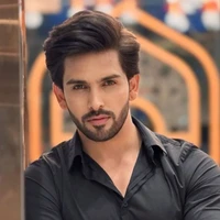 Rohit (bully)
