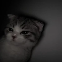 ☆𝔸𝕦𝕥𝕠𝕣𝕒☆