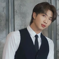 KIM NAMJOON ALFA