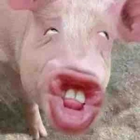 หนูแฟนนักบอลตัวจริงค่ะ