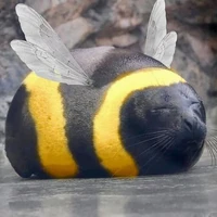 แมวน้ำบินได้🐝
