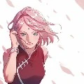 sakura