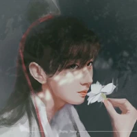 Lin hua