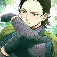 Shikadai Aburrame Nara