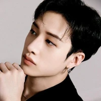 Han Christopher(41ans, père de Jisung)