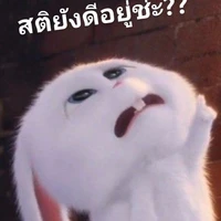 Whoแอดเป็ด?