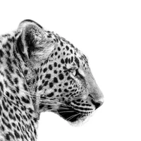 Autora