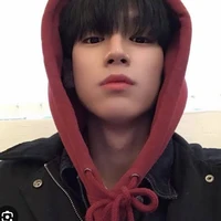 sung