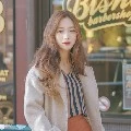 ทิวลิป