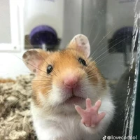 แอดเองนะ