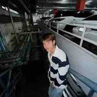 เตชิน