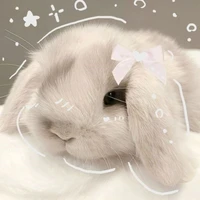 🍓~~~author ~~~🍓