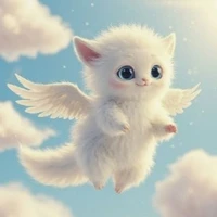 System(kitty)