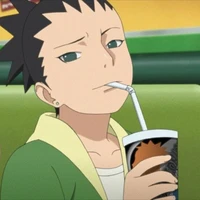 Nara shikadai