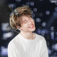 kim jimin ( omega)