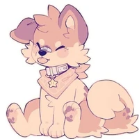 aisha