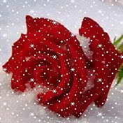 المدرسه