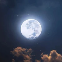 ผู้แต่ง