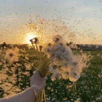 𝐀𝐮𝐭𝐨𝐫@