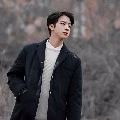 Seok Jin