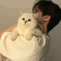 เม รา | นอ.