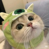 แอดเองฮับ