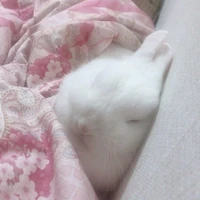 sleeping peacefully 😴