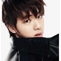 Kim Seok Jin Fiandra