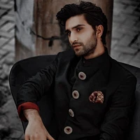 Arnav Singh Raizada (ml)