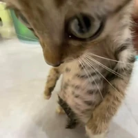 แอดสุดสวย~