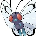 butterfree