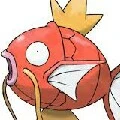 magikarp